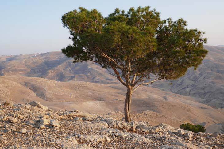 Landschaft in Jordanien
