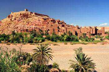 Marocco  Marrakesh  / Bild 28260351