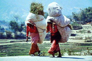 Frauen auf dem Weg von der Feldarbeit im Kathmandutal