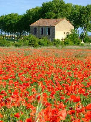 Die Provence - farbenfroh